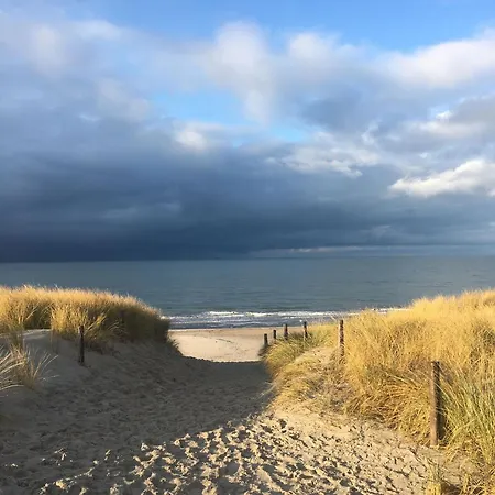 Ostseehase
