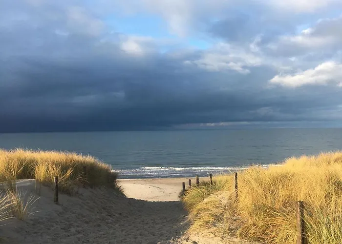 Ostseehase